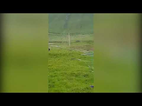 გუდაურში ფესტივალ Mountain Set: Kazbegi ტერიტორია დაარბიეს