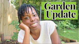 Garden Update + Full Garden Tour