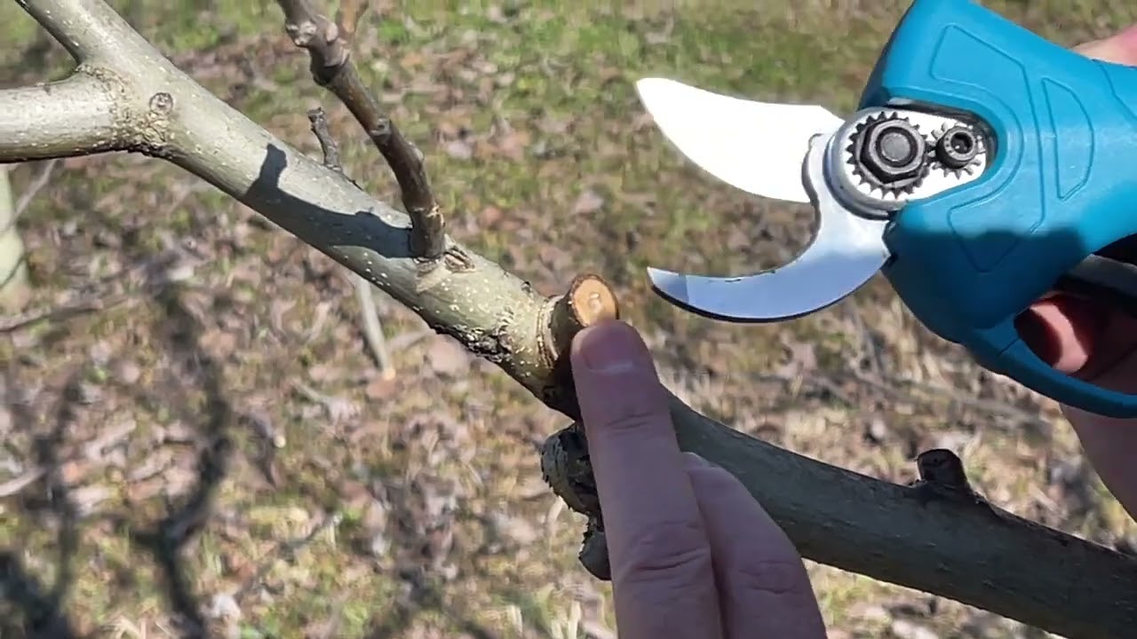 Krasitja prodhuese tek arra