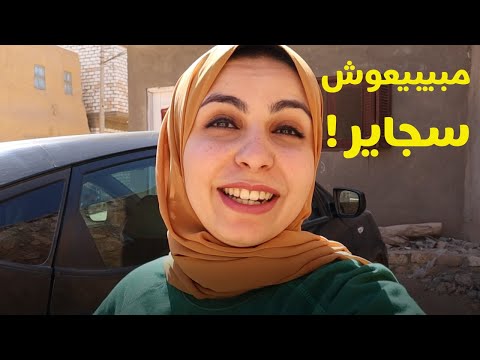 اللفافة حول مصر - عادات وتقاليد أهل الواحات البحرية