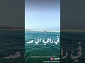 حلات واتساب عادي عادي وعادي كل الي راح عادي