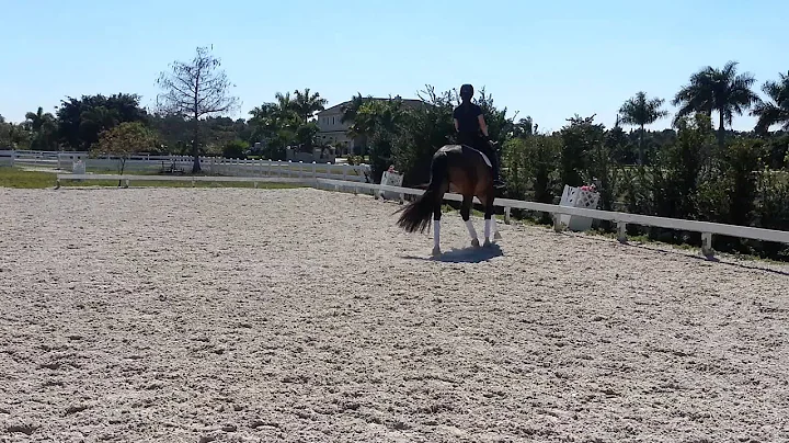 Sarah and Tip Tronic(1)