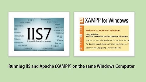 IIS and XAMPP Server on Same PC
