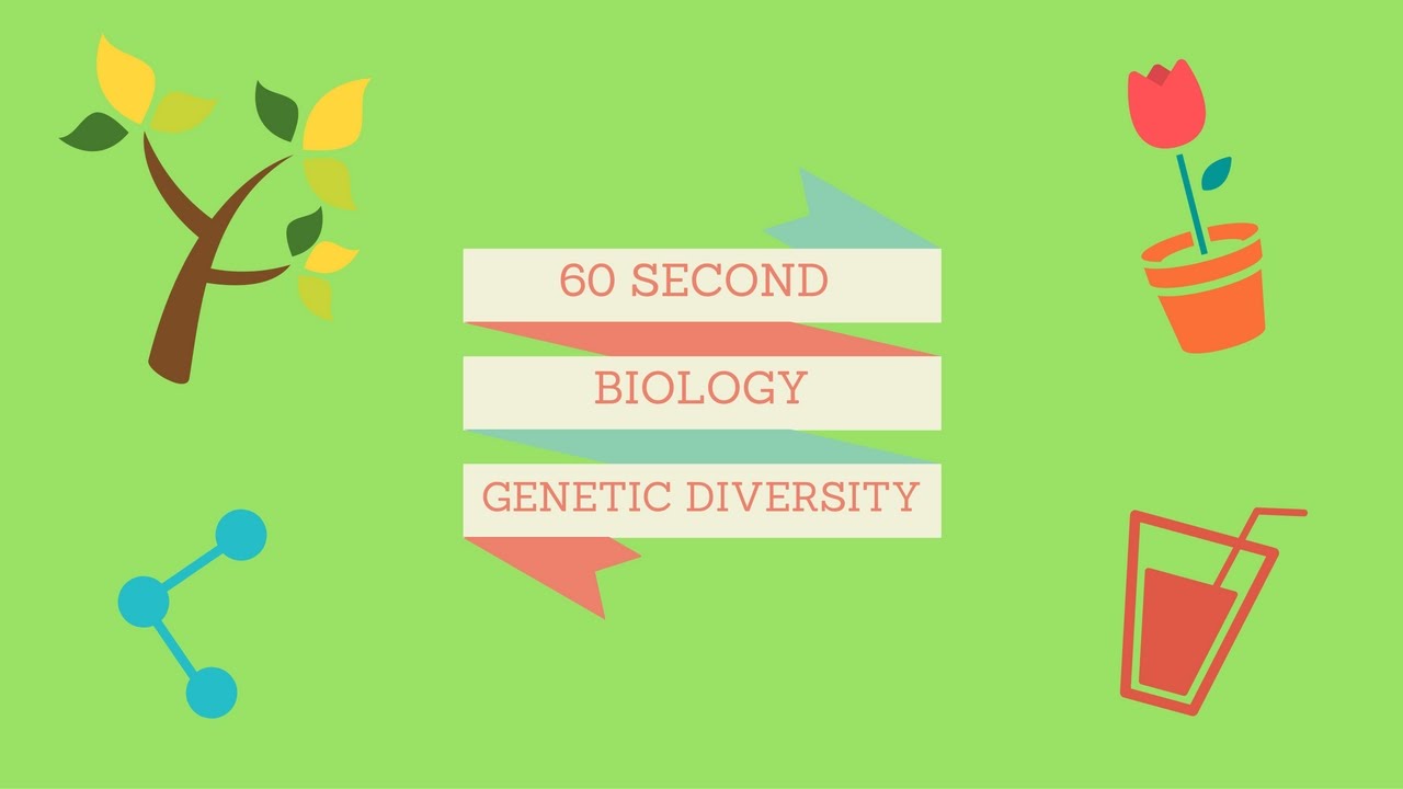 60 Second Biology: Genetic Diversity