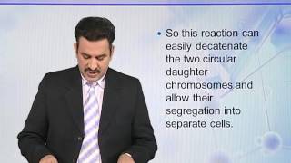 BIO731 Topic050