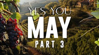 Yes You May  Part 3 | Pastor John Torrens