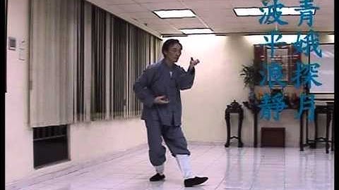 袁康就：武當太乙五行拳 (附招式名稱) 1999  Wudang Taiyi Five Elements Fist by HC Yuen