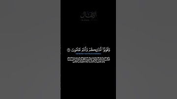 سورة الأنفال الآية 27-28 الشيخ اللحيدان #guidance #quran #الدوسري #اللحيدان #لايك #