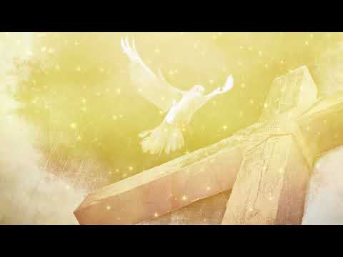 Music video background loop   Spirit like a dove descending upon Him