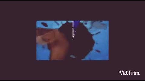 Scan vs round 101 0.25x