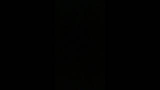 Carter (AM300) Theme - DBH crossover