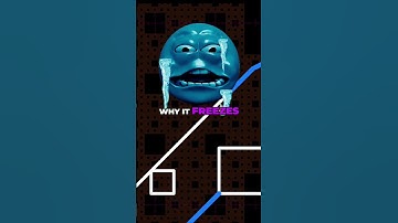 Rare Bugs: Why They