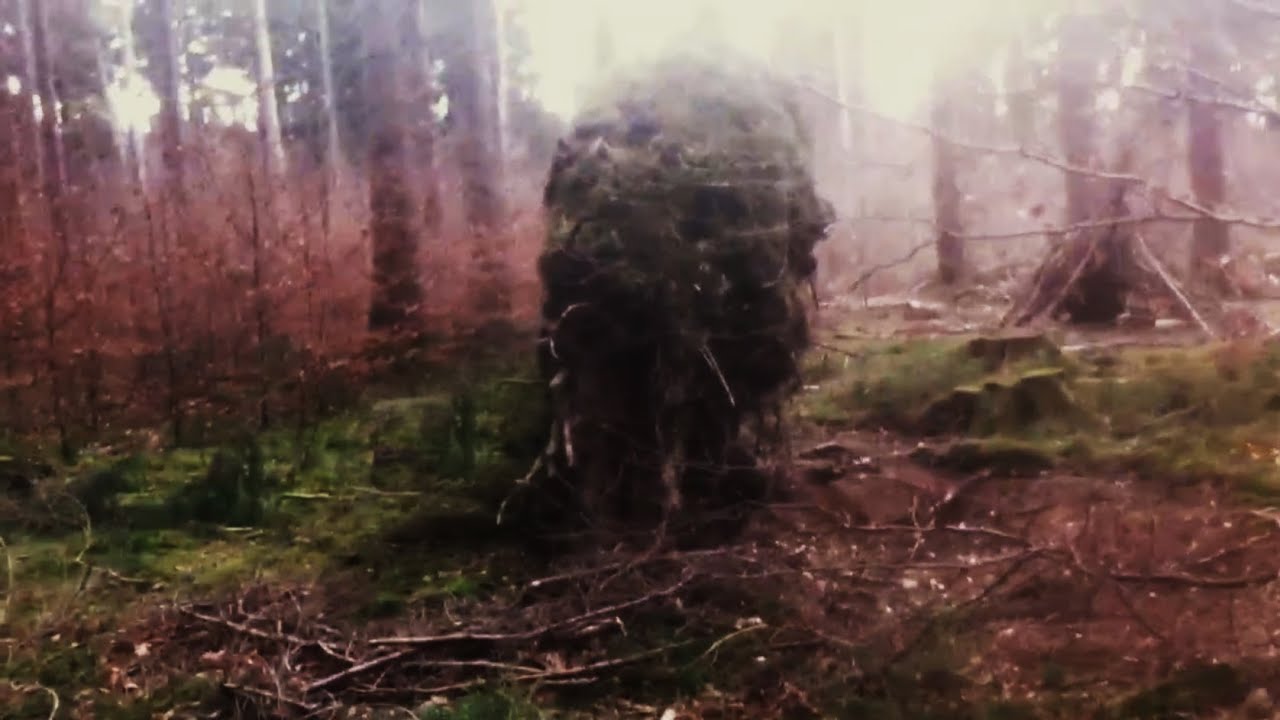 Strange creature in the woods? what is this? YouTube
