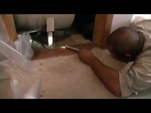 shocking definition Rat Busters NYC: The Rat Ceiling