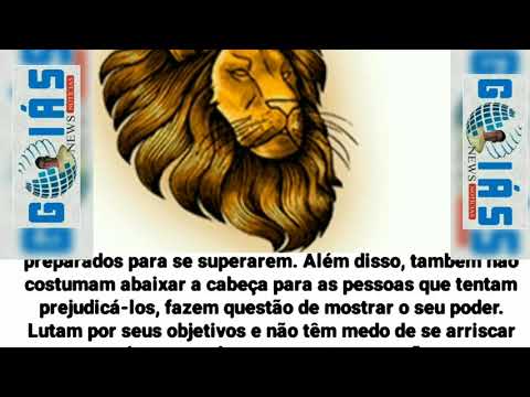 Os 4 signos