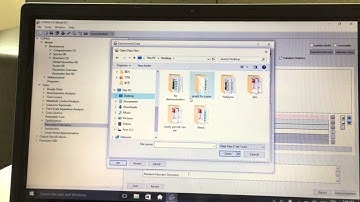 Copasi parameter estimation for catalytic mechanisms