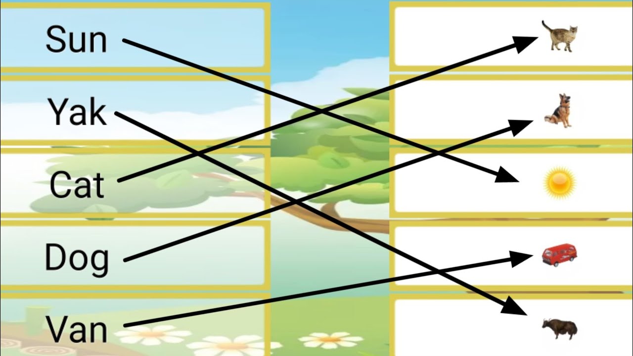 Match The Word With Picture l Match The Spelling With Their Picture Correctly l Cartoon's Tail