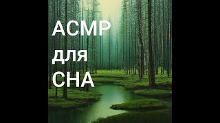 Вечерний стрим для расслабления и сна (АСМР)