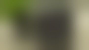 Using a raspberry pi to auto water cannabis, season 2 intro!