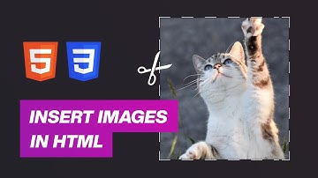 Modern Way To Insert Images in HTML & CSS (IMG & PICTURE Tag tutorial)