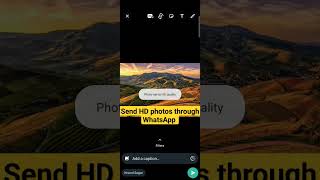 Send HD photos through WhatsApp #whatsapp #feature #newfeatured
