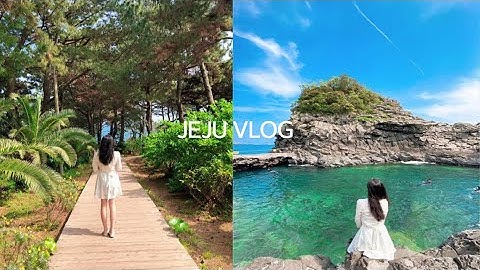 [VLOG]  제주 여행 브이로그 2편 🌴(Eng Sub) / 쇠소깍, 선녀탕🛶 /서귀포 여행 / 제주 독립서점 / 계속되는 갬성 카페들 & 흙돼지 맛집🌾 /Jeju Vlog #2