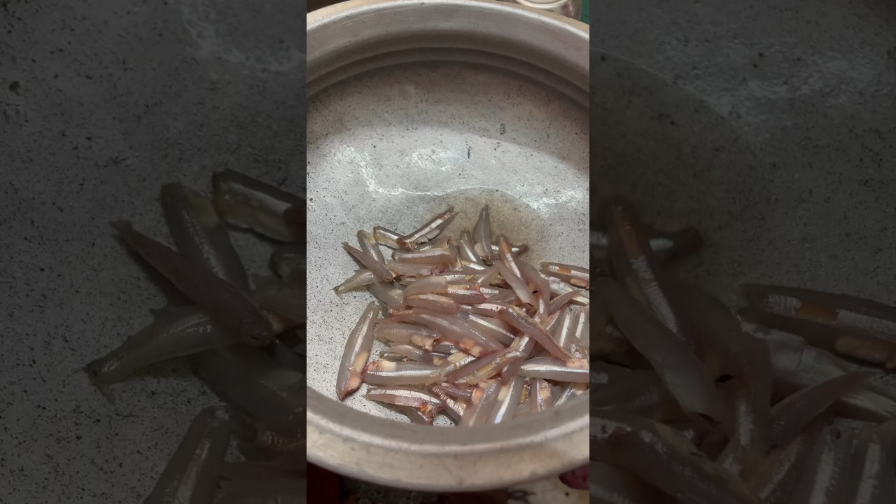 நெத்தொலி மீன்Natholi fish (Anchovy fish) cleaning like share 