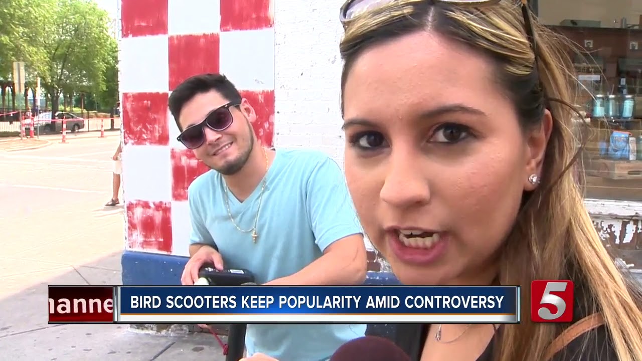 Bird Scooters Keep Popularity In Nashville Despite Controversy YouTube
