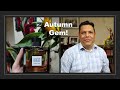 Guerlain L homme Ideal EDT Episode # 303