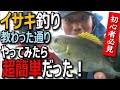 【イサキ釣り】教わった通りやってみたら超簡単だった！船長の釣り方説明
