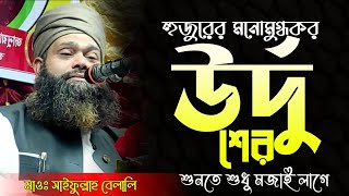 মনোমুগ্ধকর উর্দু শের/মাওঃ সাইফুল্লাহ্ বেলালি সখিপুর saifulla bellish sukhi pur হক্কানী হকের আওয়াজ