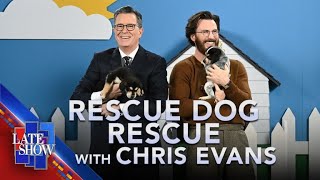 Famous Rescue Dog Rescue with Chris Evans Wealth
