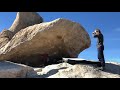 Joshua Tree - Ryan Roof V5