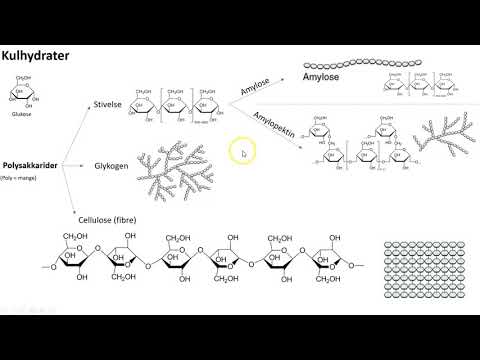 Video: Bioaktive Polysaccharider Fra Naturlige Ressourcer Inklusive Kinesiske Medicinske Urter Ved Vævsreparation