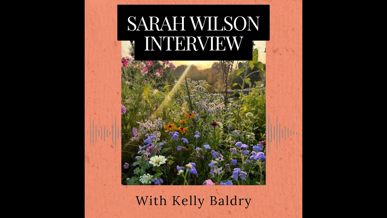 Kelly Baldry Interviews Sarah Wilson