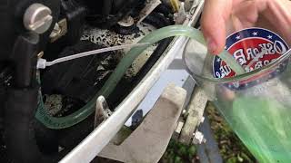 1991 Johnson 25 hp 2 stroke outboard fuel not pumping to carb.