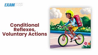 REFLEX, VOLUNTARY ACTIONS AND CONDITIONAL REFLEXES