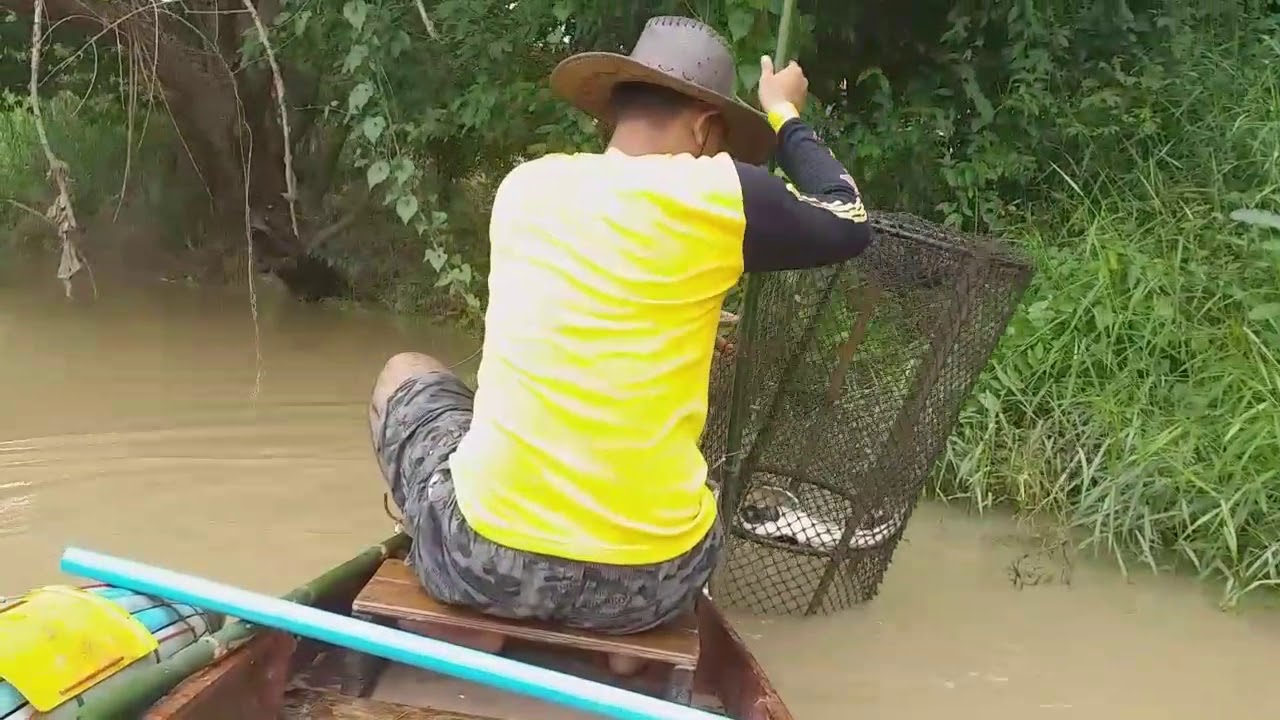 EP3 ดักรอบกุ้งแม่น้ำปราจีนบุรี (ด้วยเหยื่อมัน) ยังหมานอยู่ครับ |แม่น้ำบ้านผม