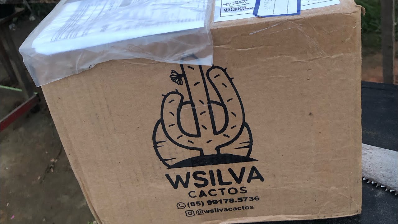 Recebidos da W.SILVA CACTOS😍🫠