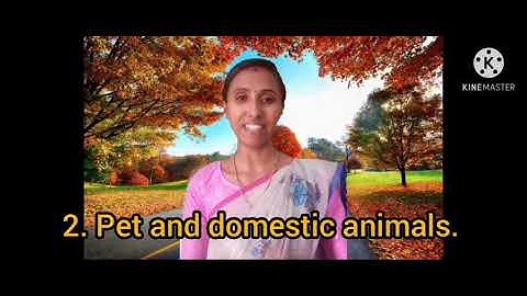 Class 2 - EVS - Lesson :5 - Module 3