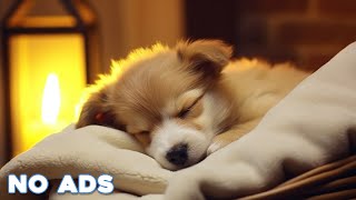 12時間の癒しの犬用音楽 🐶 犬の睡眠音で深いリラクゼーションと睡眠のための心地よい音