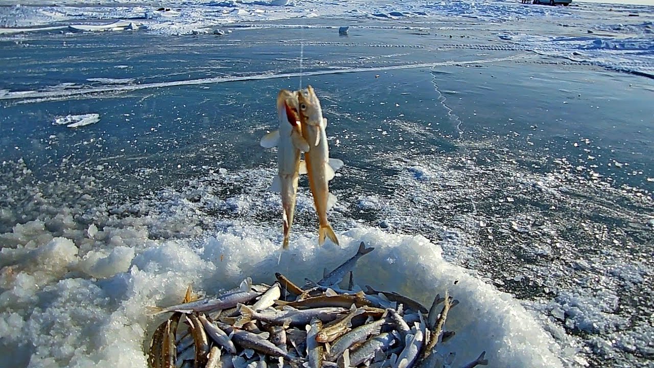 Погода лазарев хабаровский николаевский. Мыс Лазарев. Лазарев Хабаровский край рыбалка. Мыс Лазарева Хабаровский край. Мыс Лазарева рыбалка.