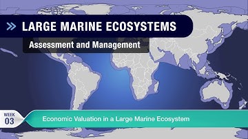 Week 3: Christian Susan on Economic valuation in a Large Marine Ecosystem