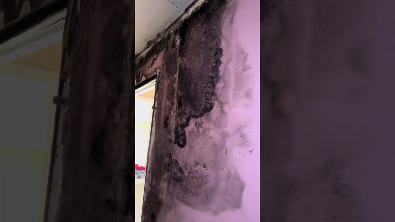 Что это за чёрная субстанция?