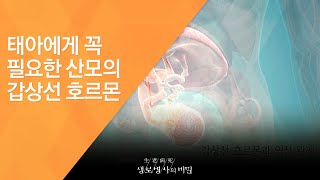 태아에게 꼭 필요한 산모의 갑상선 호르몬 - (2016.3.16_575회 방송)_많아도 문제, 적어도 문제 갑상선 호르몬의 두 얼굴