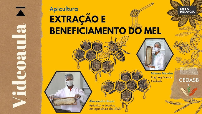 Apicultura Mel Ícones Linha Apicultura Processamento Mel