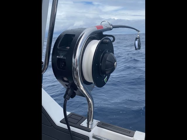 donvi fishing reels Diwa Spinning 8000 10000 14000 Series Spool Freshwater Saltwater Big-Game Surf Fishing 12+1 Stainless BB 70 LBS Max Drag Carbon Fiber Ultra Smooth Powerful Oversize Gear (8000) : Sports & Outdoors CNC machined aluminum handle Visser Bailed Spinning Reel