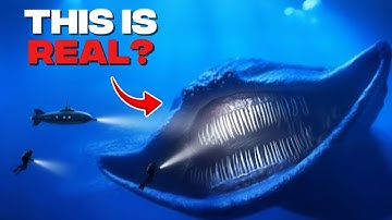 7 Mythical Creatures That Could Be Real | PART 1
