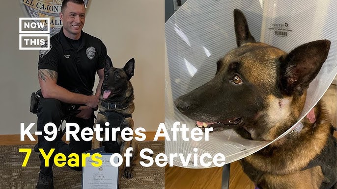 K-9 Officer Bruno Retires From Service 