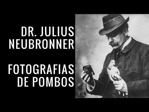 Dr. Julius Neubronner e as fotografias de Pombos